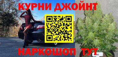 ПСИЛОЦИБИНОВЫЕ ГРИБЫ Жуковский