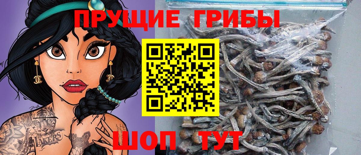 Галлюциногенные грибы Psilocybine cubensis Кушва