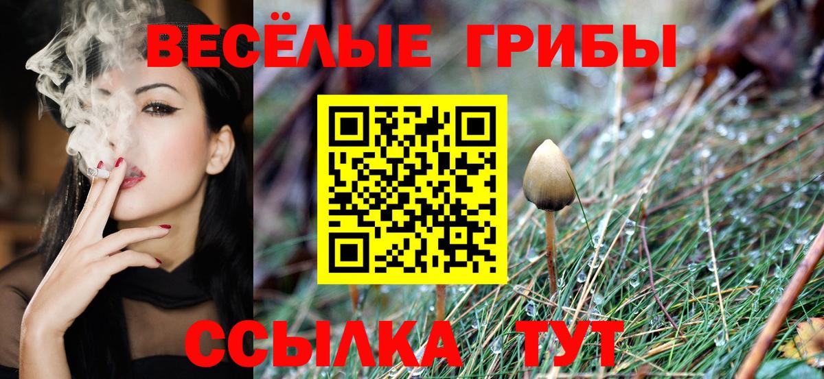 Псилоцибиновые грибы MAGIC MUSHROOMS  Псилоцибиновые грибы MAGIC MUSHROOMS  Вход с VPN  Кушва 